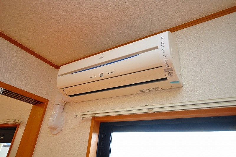 エヴァーグリーンＮ その他30