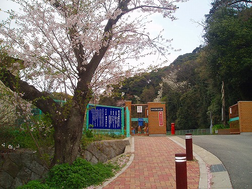 ウインディア福柳木 周辺画像7