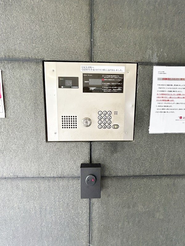 ルピナス守恒 その他外観5