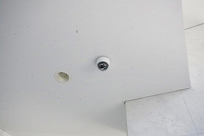 ルピナス守恒 その他9