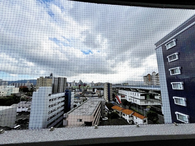 ロイヤルセンチュリー その他31