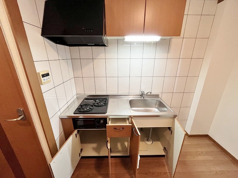 シェレンバウムＦ その他13