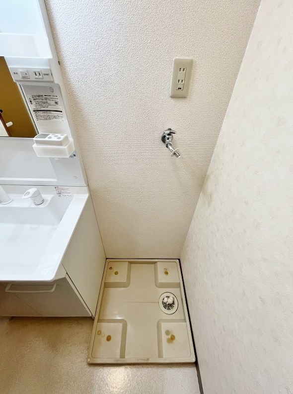 シェレンバウムＦ その他15