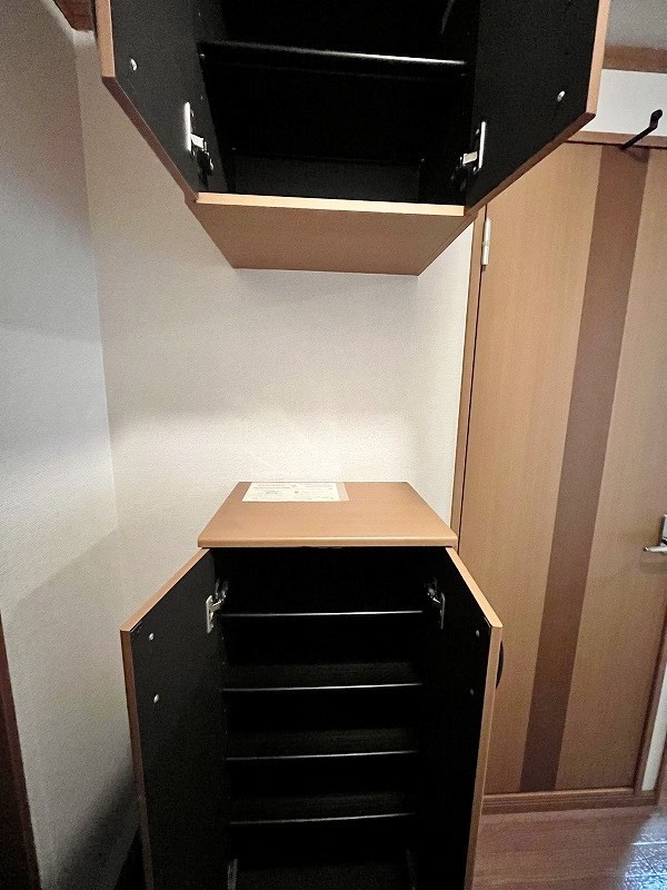 シェレンバウムＦ その他10