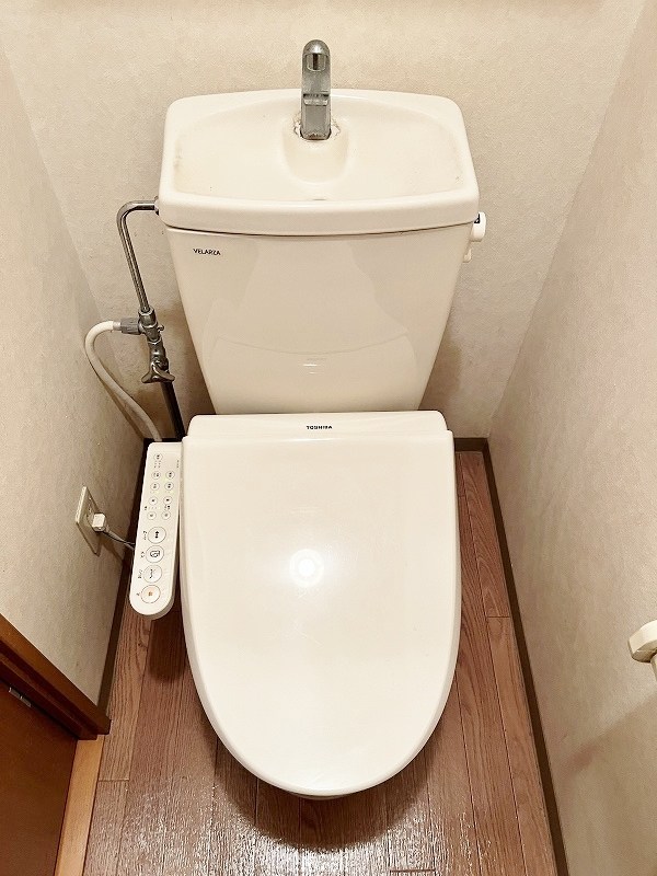 シェレンバウムＦ その他11