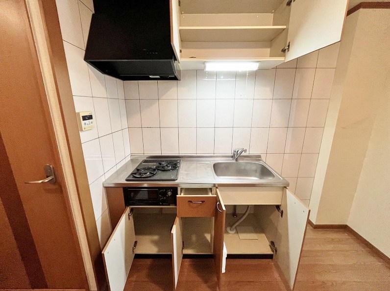 シェレンバウムＦ その他14