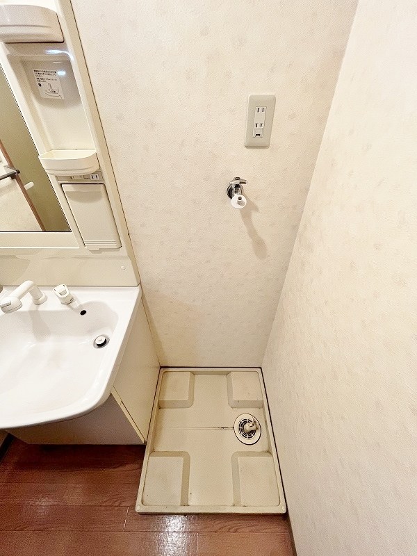 シェレンバウムＦ その他17