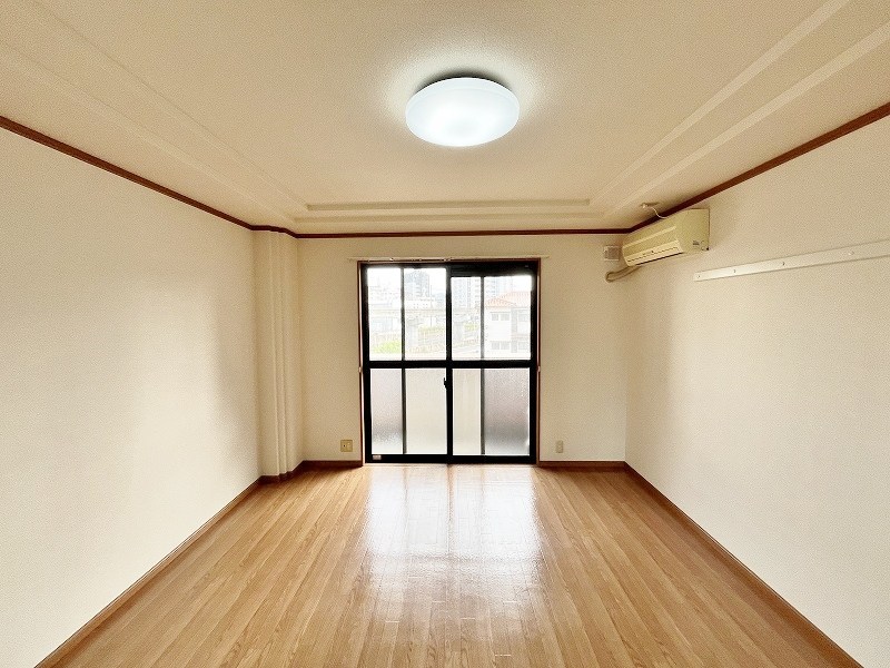 シェレンバウムＦ その他20