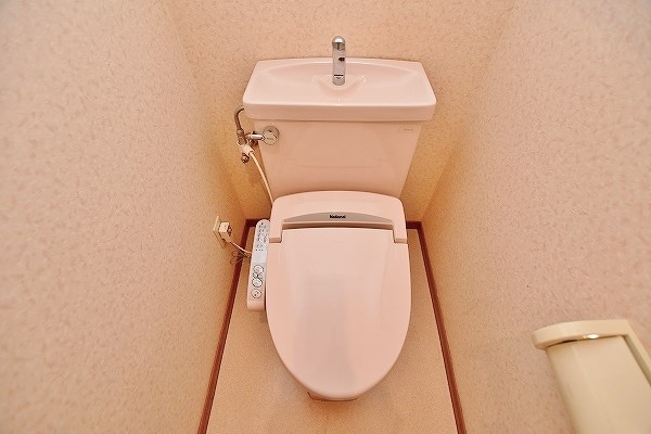 ニシキグレイス浅野 その他2