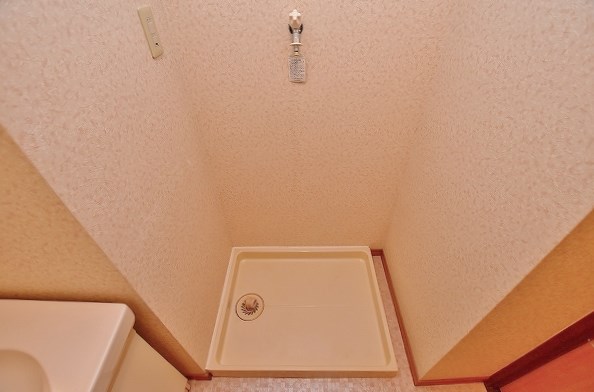 ニシキグレイス浅野 その他4