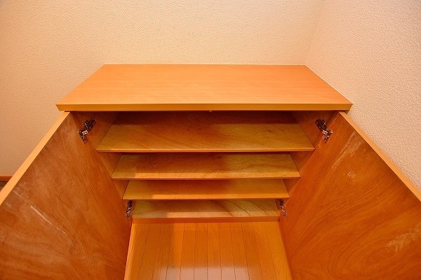 ニシキグレイス浅野 その他6