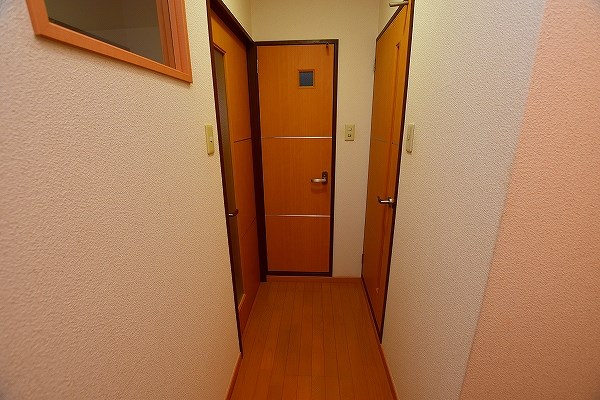 ニシキグレイス浅野 その他13