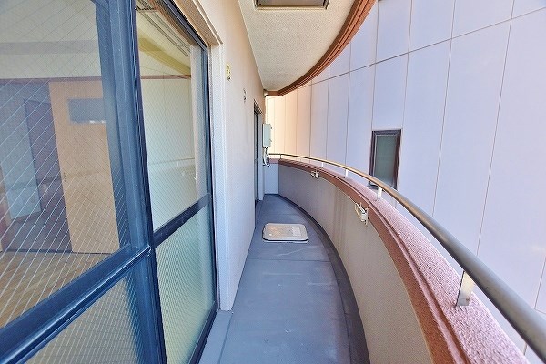 ニシキグレイス浅野 その他24