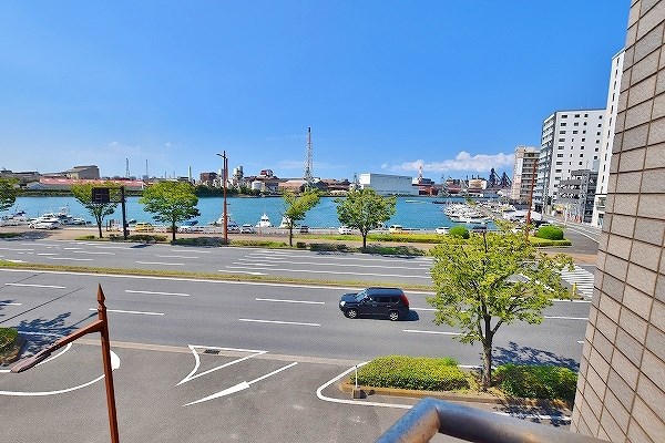 ニシキグレイス浅野 その他36