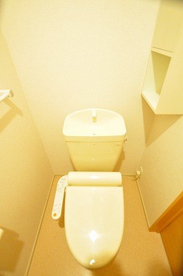 ルミナス  その他4