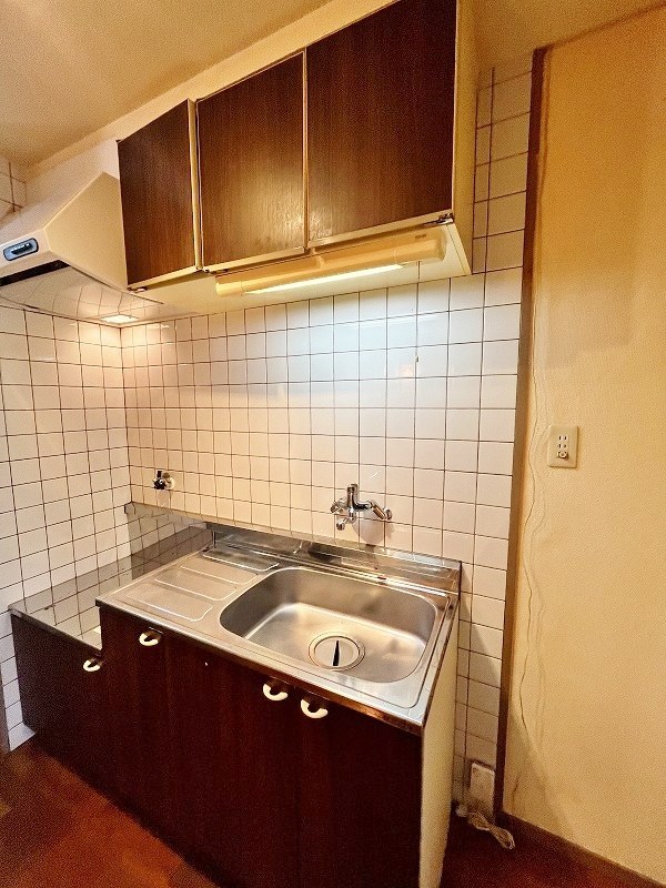 アヴィニール石田  その他17