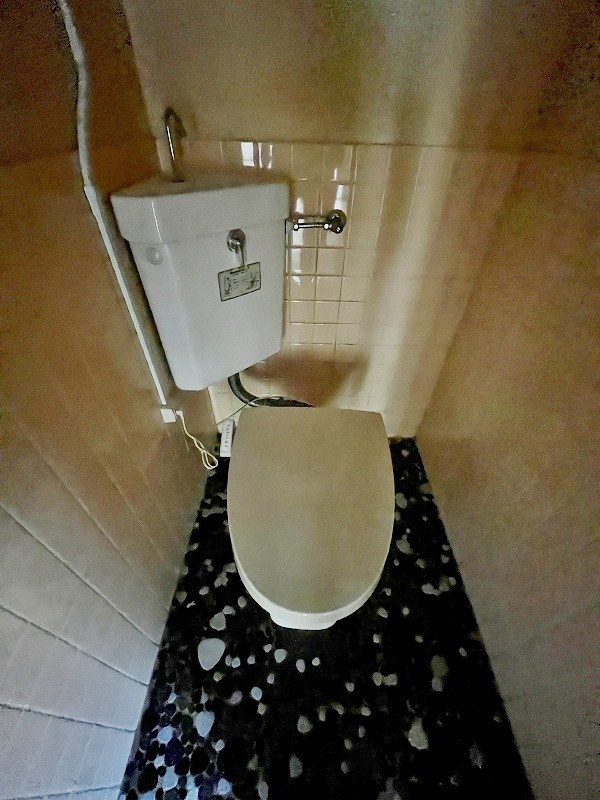 シャトー高峰 その他11