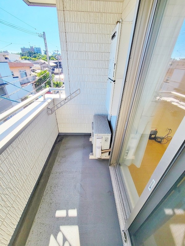 カーサナーシサス その他28