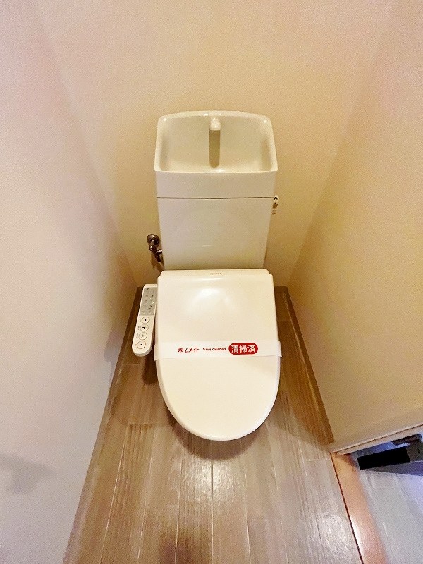 レマーレ  その他12