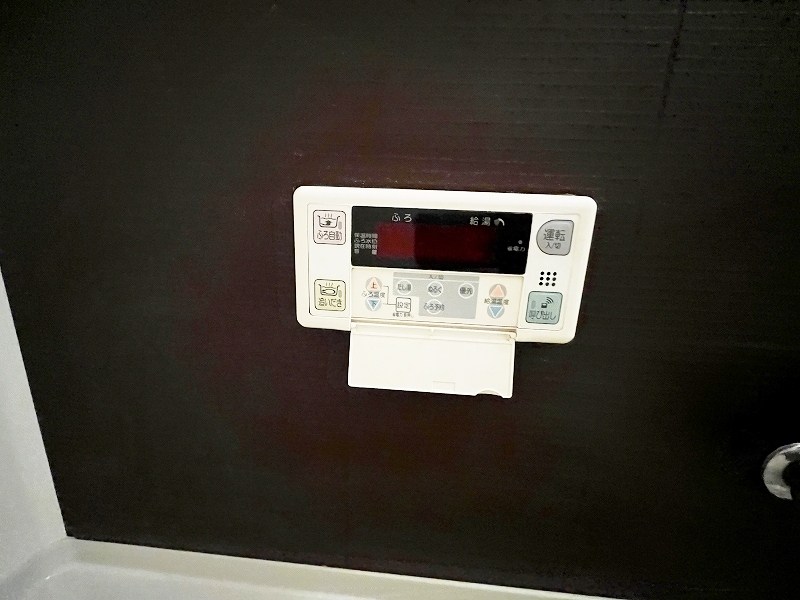 レマーレ  その他24