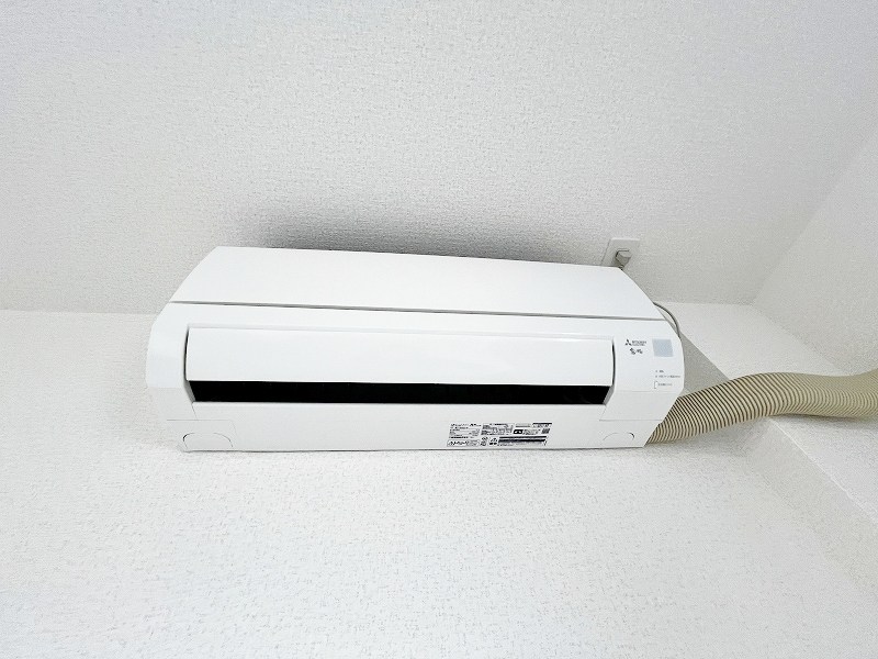 レマーレ  その他31