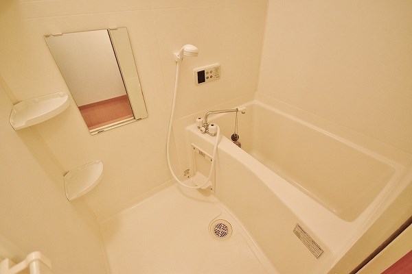 オードピュールⅢ  その他8