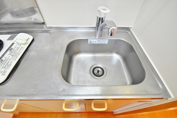 オードピュールⅢ  その他22