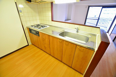 エル片野Ⅰ その他10