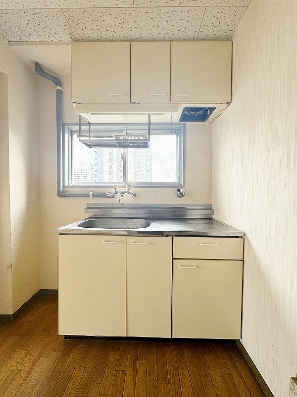 ルネサンス北方 その他12