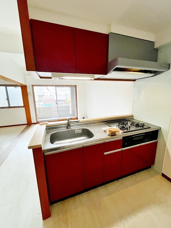 アヴィニールグランデ金田 キッチン