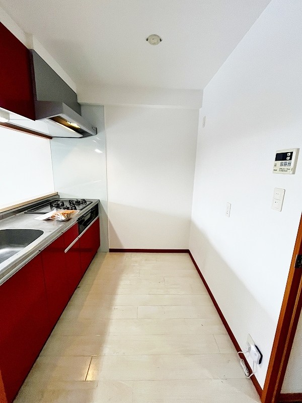 アヴィニールグランデ金田 その他28