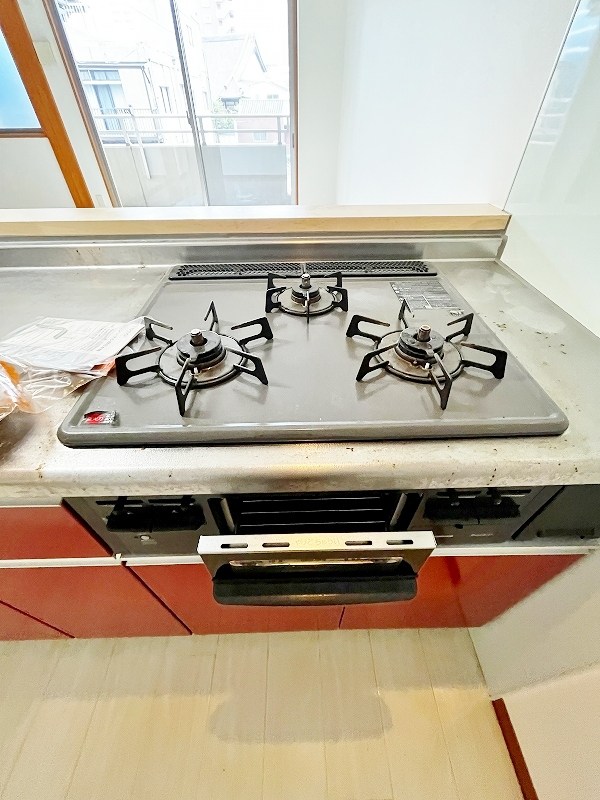 アヴィニールグランデ金田 その他30