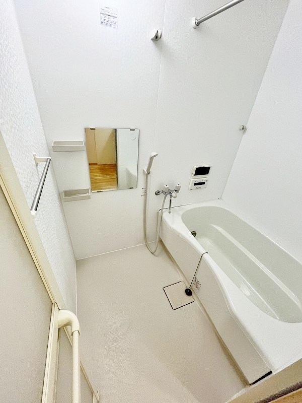 グレイスイナミツⅡ その他14