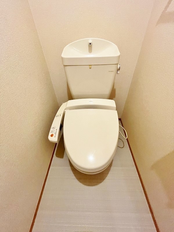 グレイスイナミツⅡ その他16