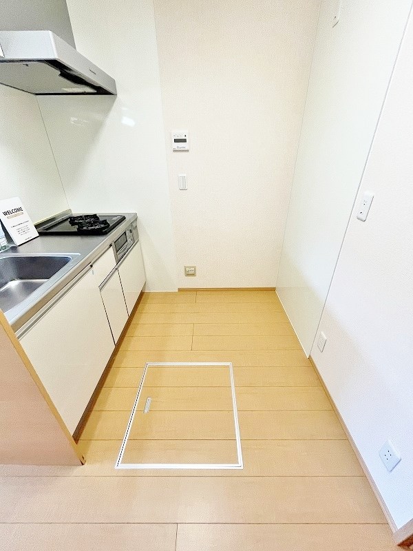 グレイスイナミツⅡ その他20