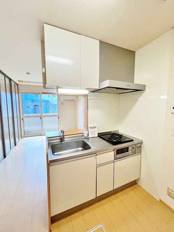 グレイスイナミツⅡ その他21