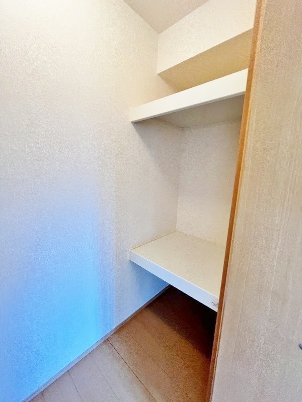 グレイスイナミツⅡ その他38