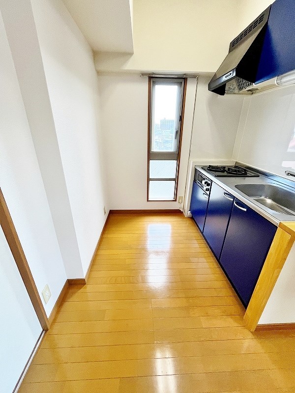 LUMINOUS　AI　清水（ルミナスアイ清水） その他26