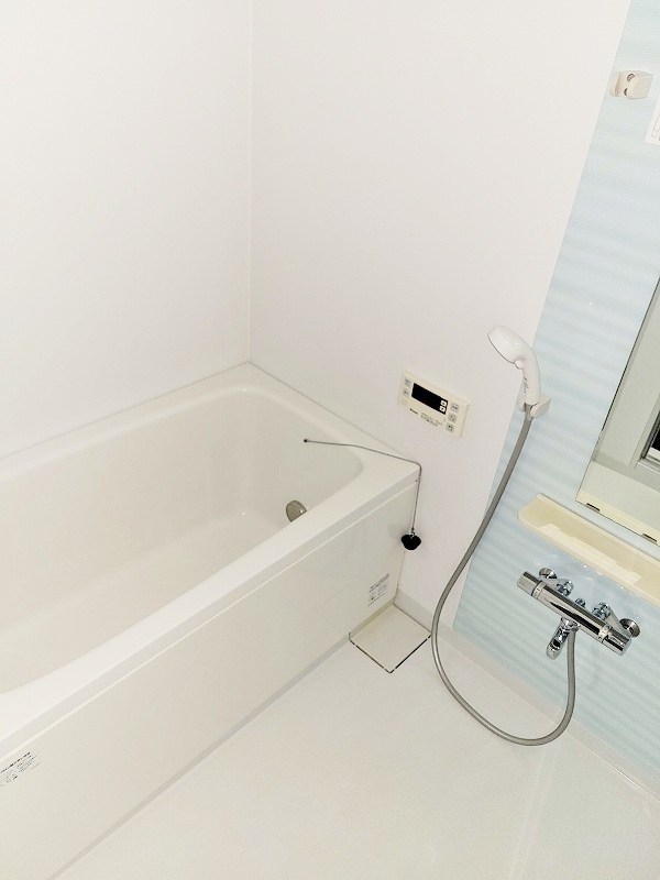 フェリシエ三萩野  その他8