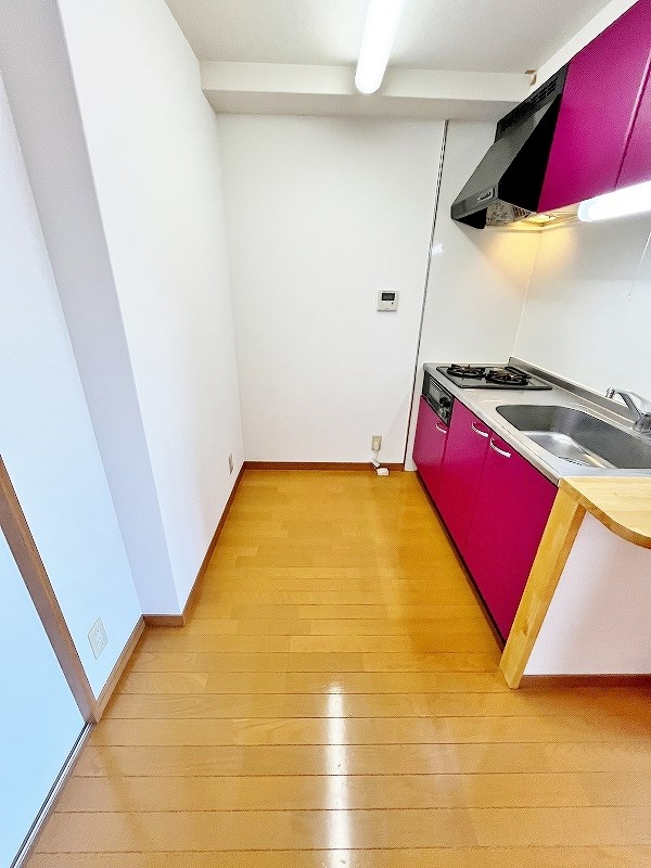 LUMINOUS　AI 清水(ルミナスアイ清水)  その他24