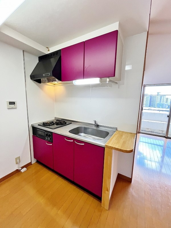 LUMINOUS　AI 清水(ルミナスアイ清水)  その他25