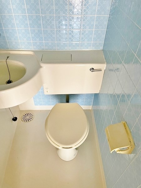 プリモレガーロ金鶏 その他2