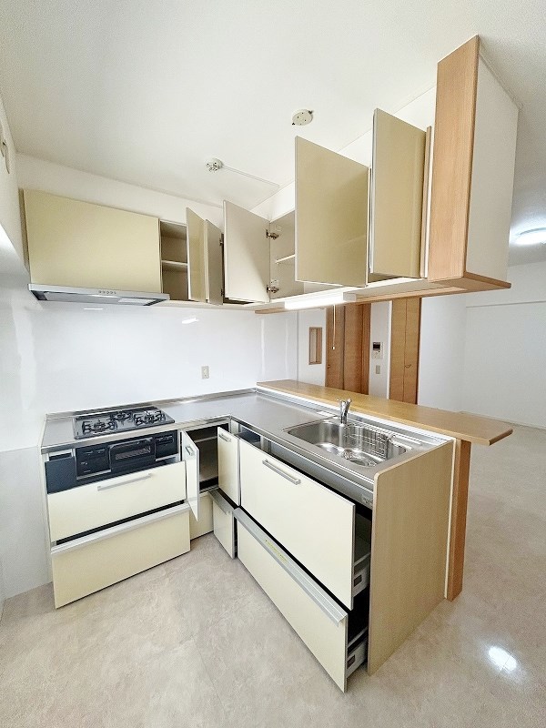 第１７共立ビル キッチン