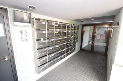 ヤンググレイス若園 その他1