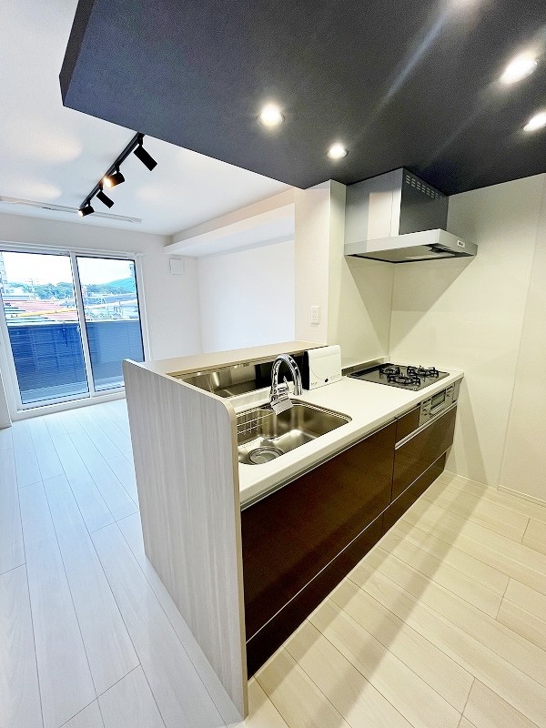 D-ROOM沢見 キッチン