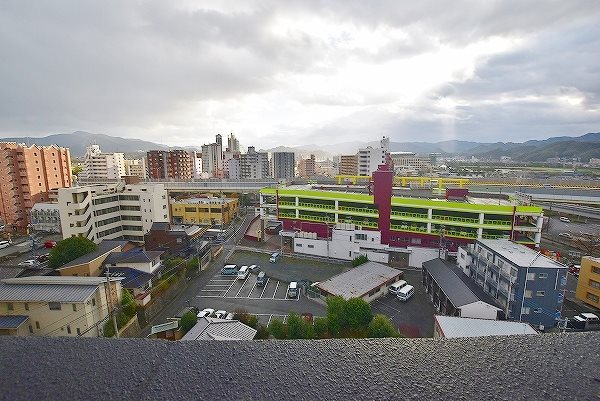 ウィークスステラ  その他5