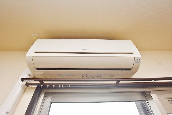 ウィークスステラ  その他15