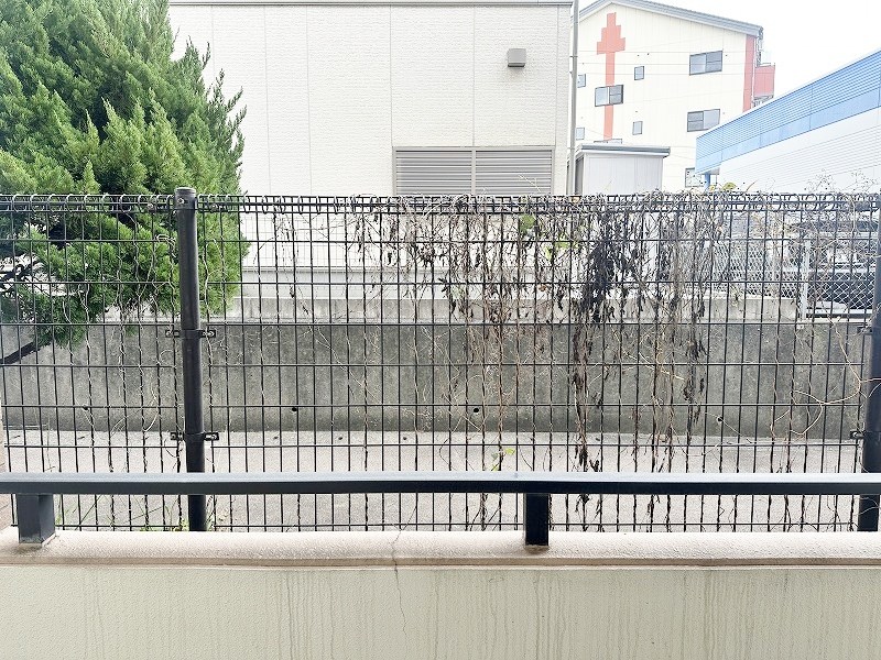 デニエ守恒 その他34