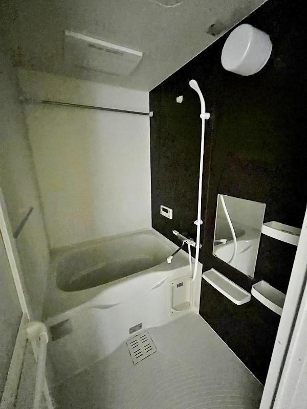 レマーレ  その他24