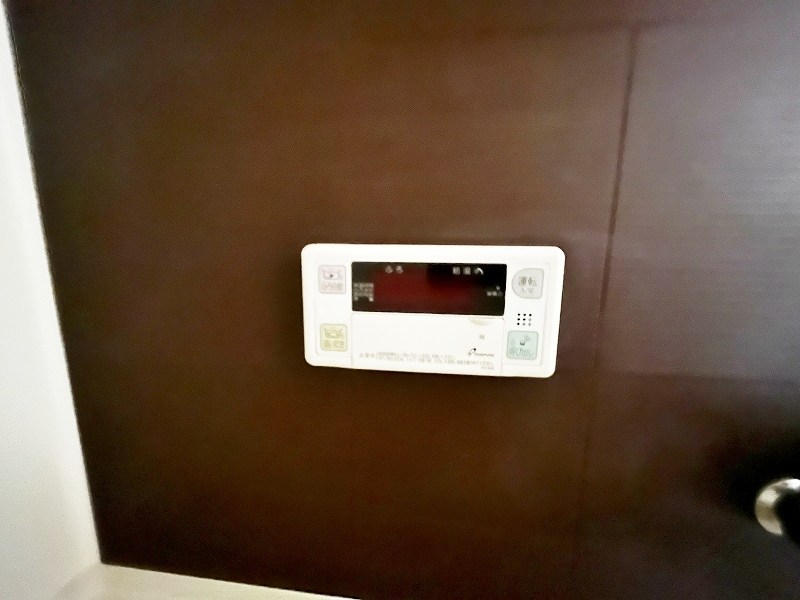 レマーレ  その他25